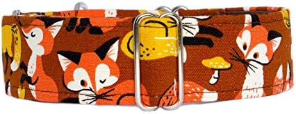 Noddy &amp; Sweets Martingale Collar 2.0" Width [Foxes] - Large