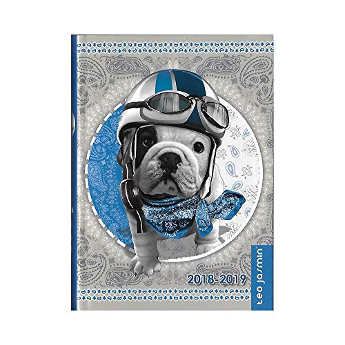 Download Téo jasmin Racing Agenda Année Scolaire 2018-2019 - Multilingue 17x12cm