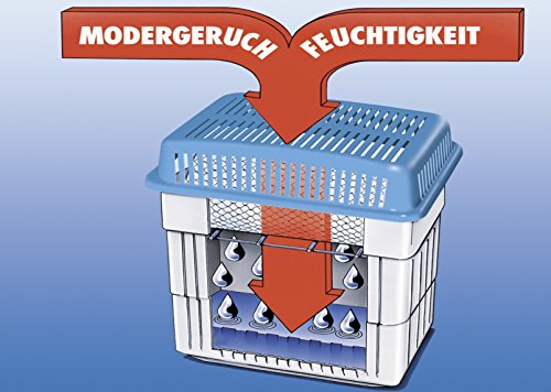 WENKO 5410120500 Feuchtigkeitskiller 2 kg – Raumentfeuchter, Kunststoff – Polypropylen, 23 x 24 x 15.5 cm, Grau - 2