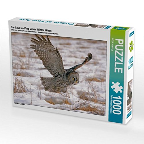 Preisvergleich Produktbild Bartkauz im Flug ueber Winter Wiese. 1000 Teile Puzzle quer