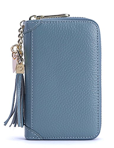 Keypack Paquete de Llaves de Cuero Genuino Cintura de Las Mujeres - Paquete de Tarjeta Colgante Caja de Llaves de Coche Simple de Gran Capacidad 6 Colores Tamaño Opcional (Color : Azul Claro)