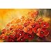 ArtzFolio Poppies On A Red-Yellow Background - Large Size 27.2 inch x 18.0 inch - FRAMED CANVAS Wall Paintings with 1 inch THICK WOODEN STRETCHING MOUNT : DIGITAL PRINT Wall Posters Art Panel like Hand Paintings : Home Interior Wall Décor Photo Gifts & Decorative Paintings for Bedroom, Living Room, Drawing, Dining Room, Kitchen, Office, Reception, Bathroom, Outdoor, Gallery, Hotels, Restaurants, & Balcony : Floral : Fine Art Reprint RS.2589.00