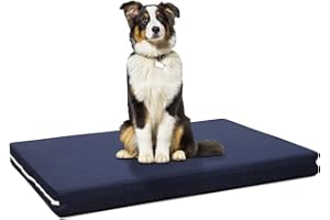 EVERGREENWEB MATERASSI & BEDS EVERGREENWEB Cuccia Cane da Interno taglia Grande | Materasso Ortopedico | Letto per Animali Domestici | Cuscino per Cane Sfoderabile e Lavabile Rivestimento Massaggiante | Tessuto Blu | PETLOVE