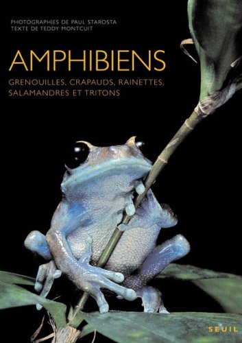 couverture de : Amphibiens