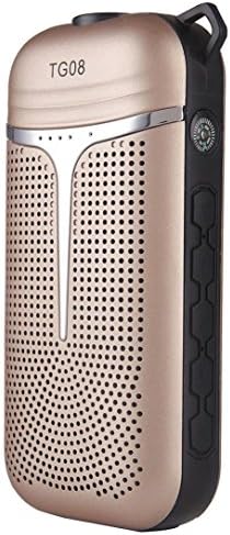 Bluetooth Speaker ,TG08 Multi-Function High Fidelity 4000 mAH Power bank/ BT speaker (Gold)
