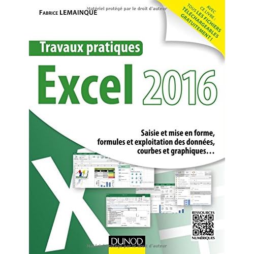 Travaux pratiques avec Excel 2016 - Saisie et mise en forme, formules et exploitation des données...: Saisie et mise en forme, formules et exploitation des données, courbes et graphiques...