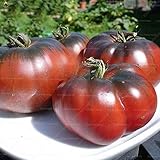 Tipo de producto: semillas AGROBITS calientes de la venta 100pcs enorme grande de la herencia de tomate dulce Bonsai jardinería Plantas plantas bonsai vegetal para jardín: Blue Sky