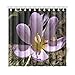 Produktbild HOJJP Bath Curtain Autumn Flower Herbstzeitlose Purple Blossom Bloom Polyester Fabric Waterproof Shower Curtain for Bathroom, 60W X 72L Inches Shower Curtains Hooks Included