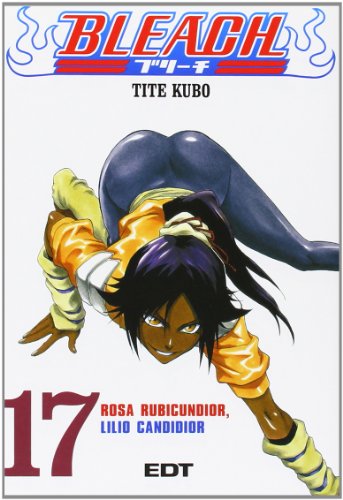 Download Bleach 17 (Shonen Manga)