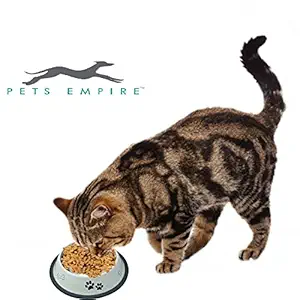 Pets Empire Antiskid Stainless Steel Coated Pets Cats Dogs Bowl Food Water Bowl (Medium)