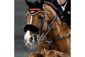 QQY Horse Headband LED Horse Breastplate Collar LED Strip Visibility Tack Horse Head Strap Bandage Strap for Night Horse Riding Equestrian Competition Event (Orange)