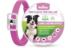 Woyamay Collier Anti Puces pour Chien, Réglable Résistant à l'eau Collier Chien Anti Puces et Tiques, 8 Mois Naturel Collier Anti Tique Chien pour Chien Toutes Races et Tous âges - Rose