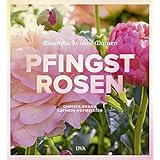 Pfingstrosen: Rosenpracht ohne Dornen