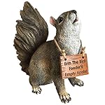 Petardi di Animali Carino Scoiattolo con Cartello Bird Feeders Vuoto, Decorazione da Giardino