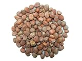 La compra de las semillas incluye su buen uso de: conocimientos de base de cultura, referencias de sitios conseilles y métodos de jardinería.