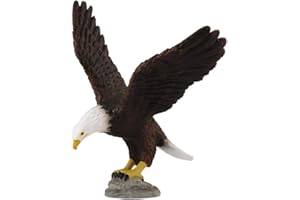 Aquila Collecta cod. 88383