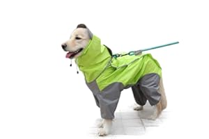 FEILING Patchwork Manteau de Pluie imperméable pour Chien 4 Jambes avec Capuche Amovible pour Chiens de Taille Petits Moyenne et Grande (20#, Vert)