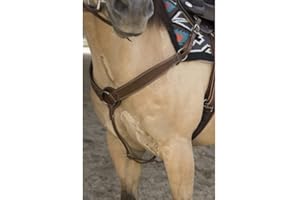 WESTRIDE by Franck Perret Vorderzeug „Billy“, Warmblut, schokobraun, Messingschnallen