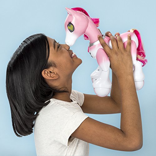 517wJ2j 0BL Zoomer - 6036997 - Pony