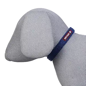 Pets Like Dog Spun Poly Collar Royal Blue(20mm),GE-PL5182E