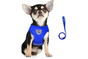 FEimaX Dog Harness and Leash Set, No Pull Reflective Adjustable Pet Vest Harness for Puppy Kitten, Breathable Soft Mesh Fabric, Escape Proof Cat Jacket for Outdoor Walking, Training