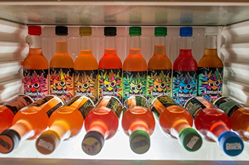 Box of Kombucha (24)
