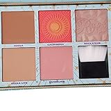VWH 5 Farben Blush Palette Profi Reparaturpulver mit pinsel Kosmetik - 3