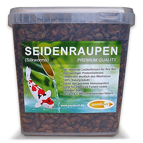 Seidenraupenpuppen pondovit - Premiumsnack 5000 ml - Koi Leckerbissen, Koifutter