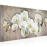 UMWELTBEWUSST: ökologisches Druckverfahren, geeignet für Kinder- und Schlafzimmer