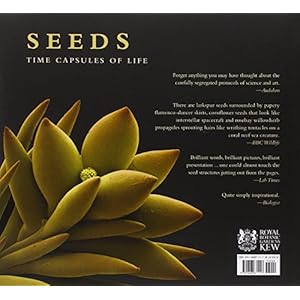 Seeds: Time Capsules of Life