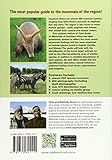 Image de Stuarts' Field Guide to Mammals of Southern Africa: Including Angola, Zambia & Malawi