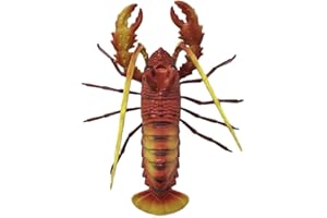 WEDARE MAGNET SOUVENIR Palau Boracay Bali Maldives 3D Rouge Homard Aimant Réfrigérateur Souvenirs Touristiques en Plastique Magnétique Autocollants Aimants Réfrigérateur Maison & Cuisine Décoration de La Chine