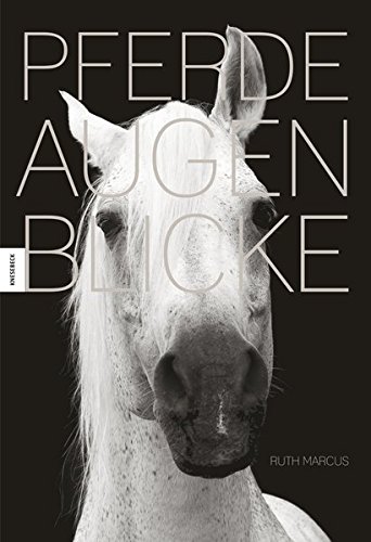 Download Pferdeaugenblicke Download Pferdeaugenblicke