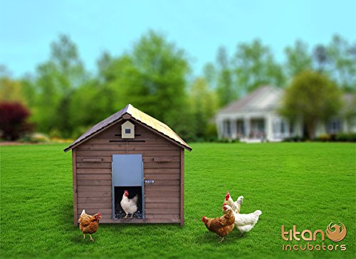 Titan Brut- Huhn House Türöffner & aus Metall - 4
