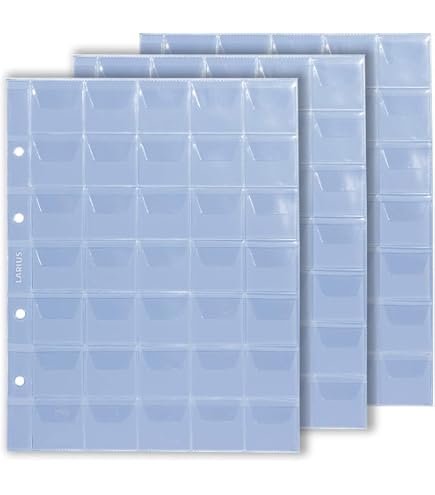 6 Feuilles Classeur Pièces Monnaie, pochettes plastique 9 trous 42 compartiments collection . - Beaux-Arts et Loisirs créatifs