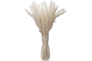 Intirilife Hierba de Pampa 30 Piezas en Blanco - Flor Seca Natural, Hierba de caña Suave sostenible para decoración y Varias Ocasiones