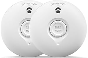 RUAN Rivelatore di fumo 10 anni di batteria | Rivelatore di incendio per la casa Rivelatore di incendio con funzione mute e autotest Sensore fotoelettrico, certificato Q DIN EN14604, 2 pezzo