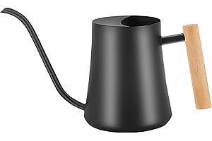 LanQii 1L Gießkanne, Indoor Giesskanne Edelstahl Gießkanne, 35oz Gartengießkanne für Pflanzen im Innen- und Außenbereich, Bonsai mit langem Ausguss und Holzgriff, Schwarz