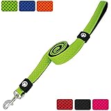 [Gesponsert]DDOXX Hunde-Leine aus Air-Mesh 120 cm | Hand-Schlaufe | verschiedene Farben & Groessen | fuer große & kleine Hunde | Grün, XS - 1,5 x 120 cm | [Halsband & Geschirr separat erhältlich]