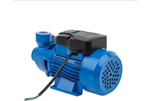 VIEMYLU Stérilisateur Autoclave qb60 et 0,37kw Pompe électrique 35l/M périphérique, tension 230 V, fréquence 50 Hz