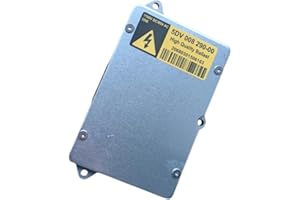 DANIKO Ballast de contrôle de phare xénon 5DV008290-00 pour Hella D2S D2R ECU