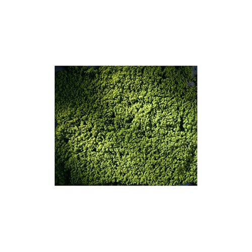 Preisvergleich Produktbild Auhagen 76667 Spring grünen Rasen Rolle