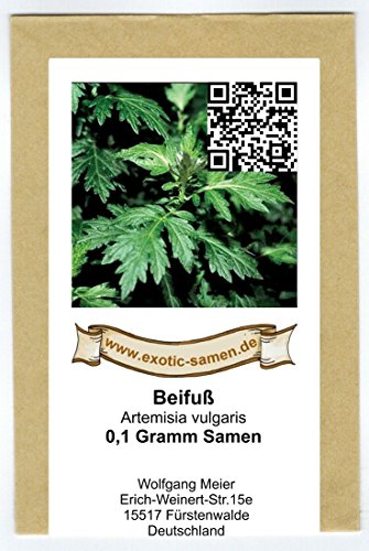 Beifuß – Artemisia vulgaris (0,1g Samen) = mindestens 500 Samen - 2