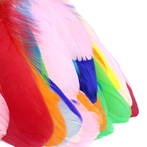 Coceca 150 Stück Bunte Federn12-18cm (4,7-7 Zoll) für Kunst und Handwerk - 2