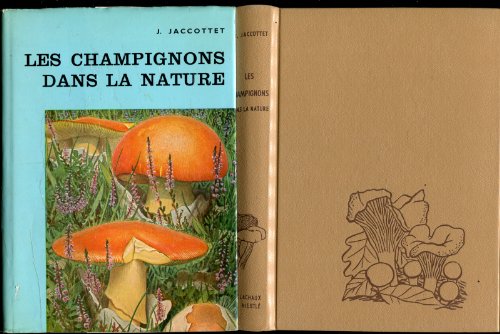 Les champignons dans la nature Les champignons dans la nature