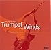 Produktbild Music for Trumpet and Winds by John Hagstrom (2006-06-06)