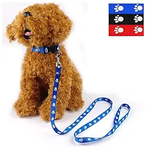Petworld More 15 mm Paw Print Nylon Puppy Collar & Leash Set for Small & Medium Dogs (Color May Vary) - Pack of (Collar + Leash)