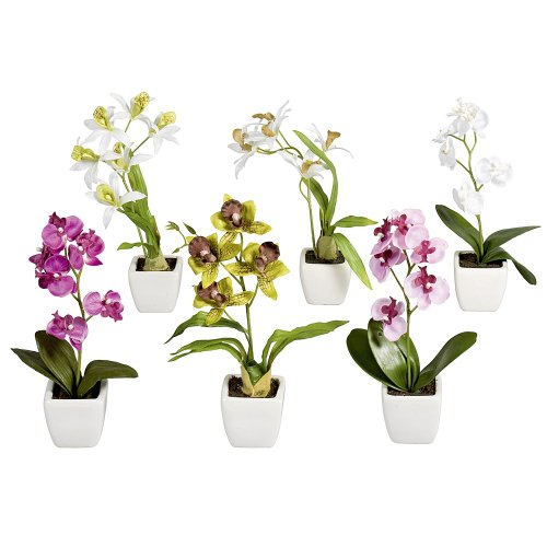 DPI Orchidee aus Kunststoff im weißen Topf, 18cm, bunt sortiert (6er-Set)