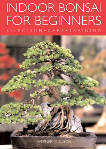 Indoor Bonsai for Beginners: selection, care, training