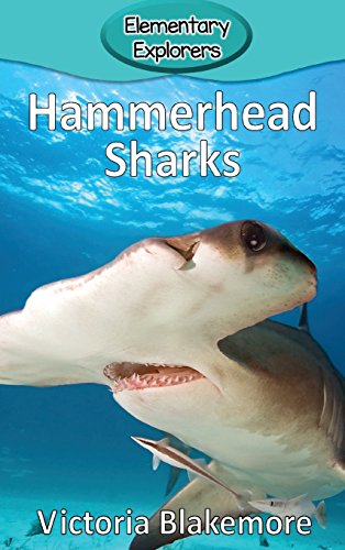 Hammerhead Sharks: 33 (Elementary Explorers)